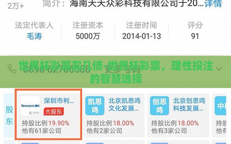 世界杯彩票买几倍-世界杯彩票，理性投注的智慧选择