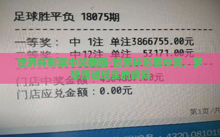世界杯彩票中奖截图-世界杯彩票中奖，梦想照进现实的瞬间