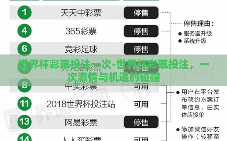 世界杯彩票投注一次-世界杯彩票投注，一次激情与机遇的碰撞