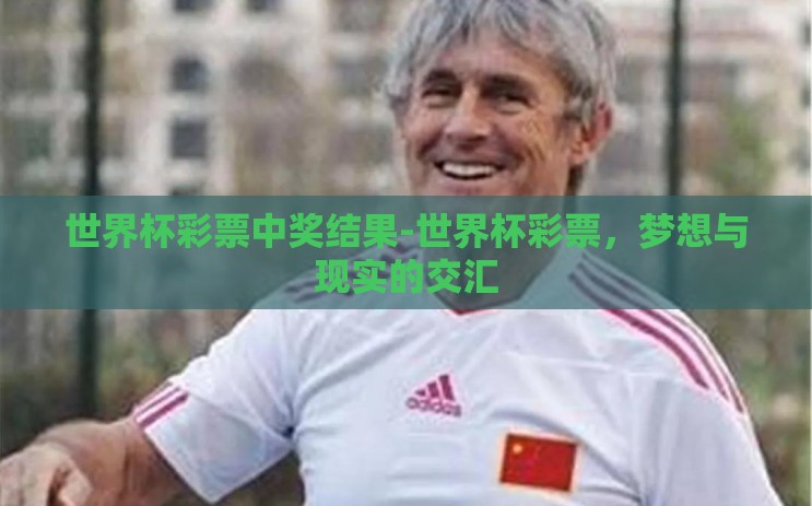 世界杯彩票中奖结果-世界杯彩票，梦想与现实的交汇