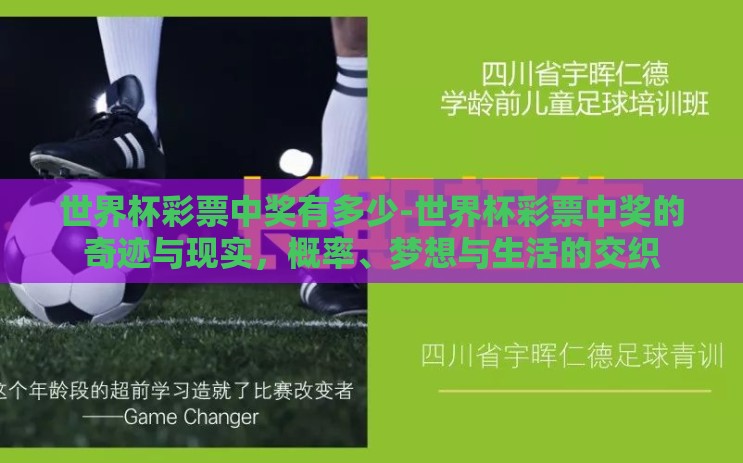世界杯彩票中奖有多少-世界杯彩票中奖的奇迹与现实，概率、梦想与生活的交织