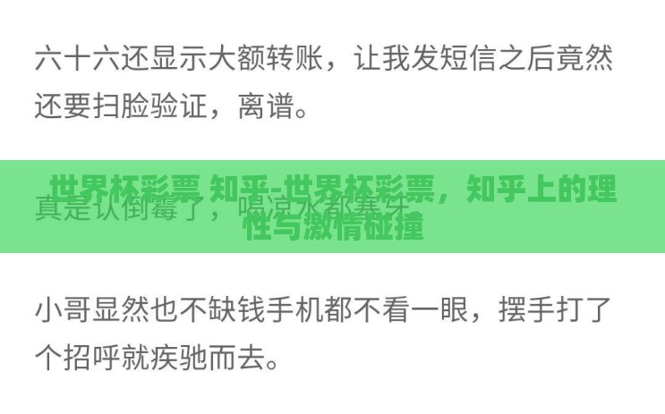 世界杯彩票 知乎-世界杯彩票，知乎上的理性与激情碰撞