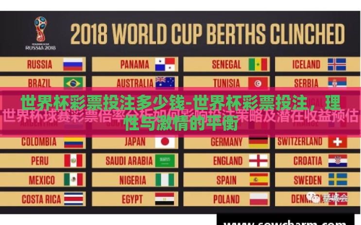世界杯彩票投注多少钱-世界杯彩票投注，理性与激情的平衡