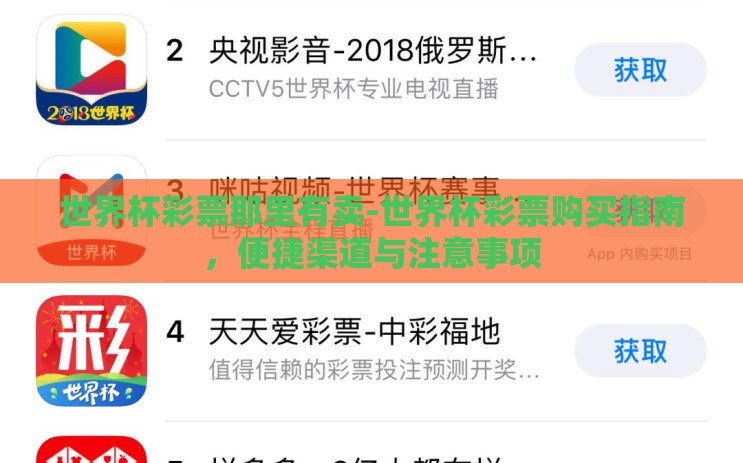 世界杯彩票那里有卖-世界杯彩票购买指南，便捷渠道与注意事项