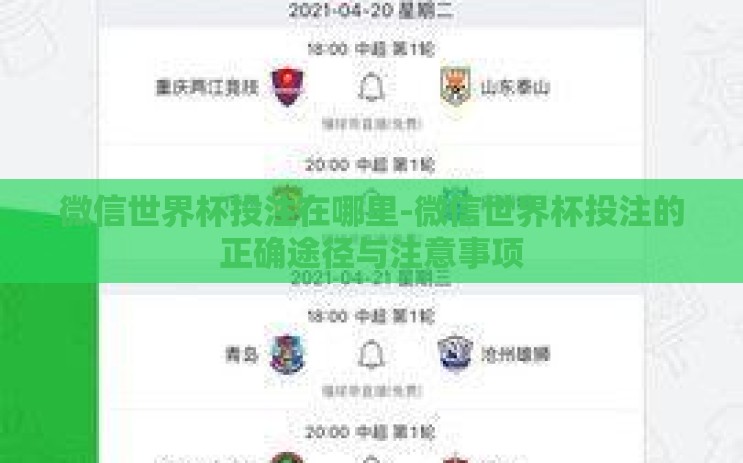 微信世界杯投注在哪里-微信世界杯投注的正确途径与注意事项