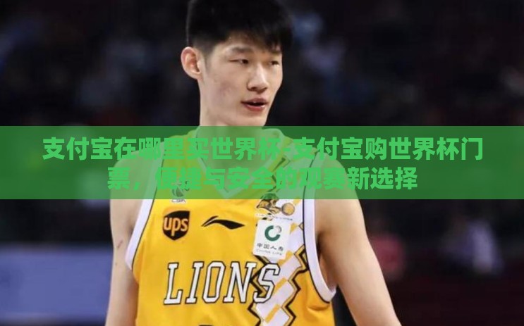 支付宝在哪里买世界杯-支付宝购世界杯门票，便捷与安全的观赛新选择