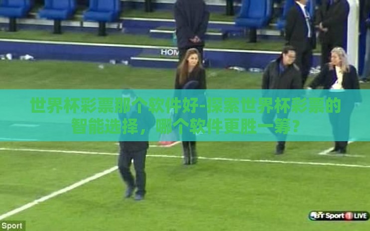 世界杯彩票那个软件好-探索世界杯彩票的智能选择，哪个软件更胜一筹？