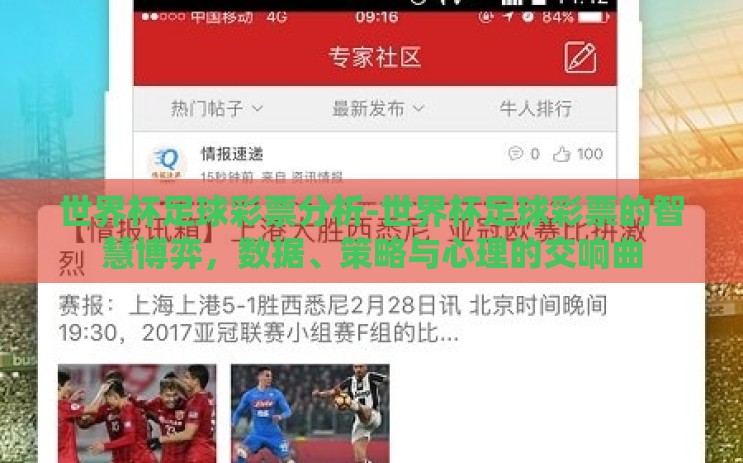 世界杯足球彩票分析-世界杯足球彩票的智慧博弈，数据、策略与心理的交响曲