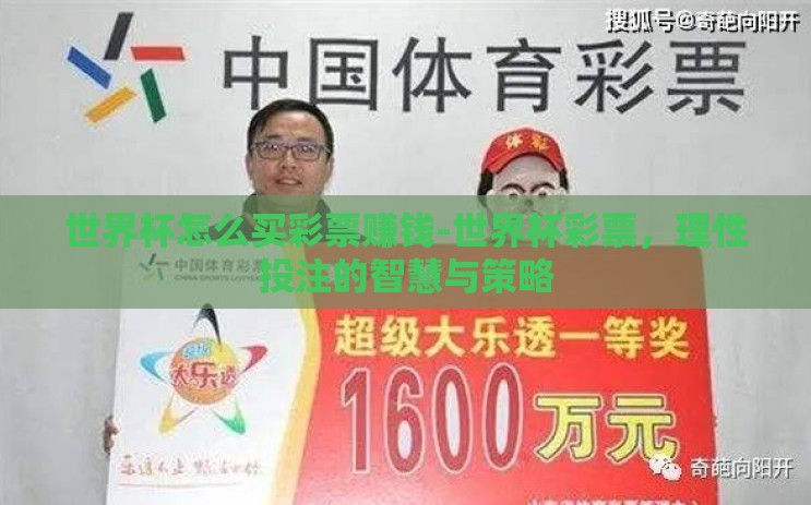 世界杯怎么买彩票赚钱-世界杯彩票，理性投注的智慧与策略