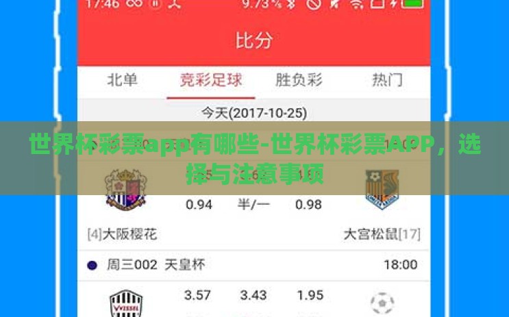 世界杯彩票app有哪些-世界杯彩票APP，选择与注意事项
