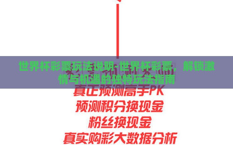 世界杯彩票玩法说明-世界杯彩票，解锁激情与机遇的独特玩法指南