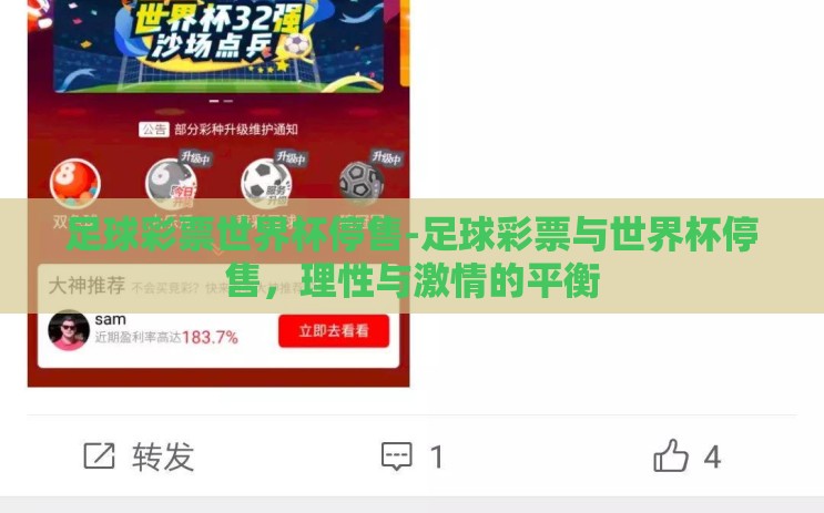 足球彩票世界杯停售-足球彩票与世界杯停售，理性与激情的平衡
