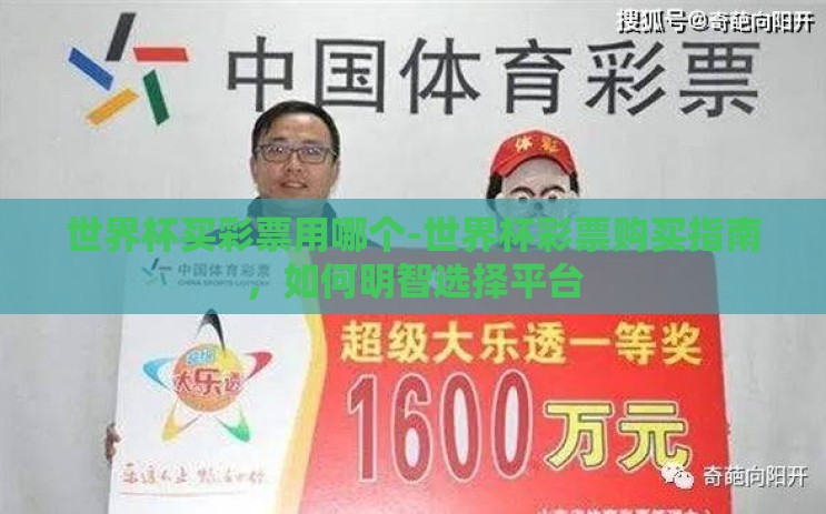 世界杯买彩票用哪个-世界杯彩票购买指南，如何明智选择平台