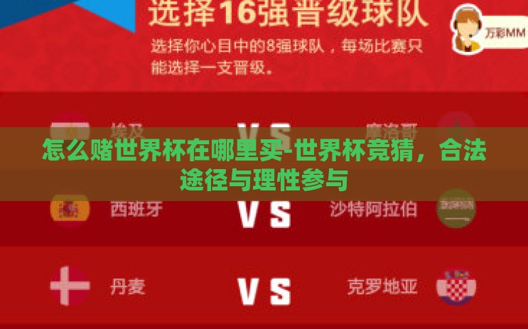 怎么赌世界杯在哪里买-世界杯竞猜，合法途径与理性参与