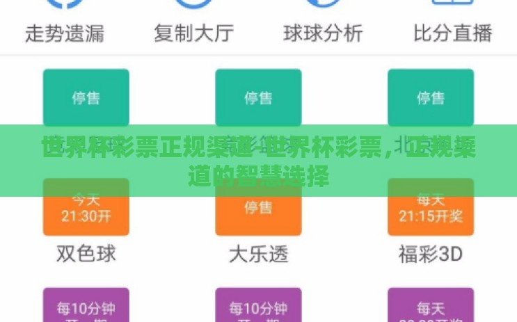世界杯彩票正规渠道-世界杯彩票，正规渠道的智慧选择