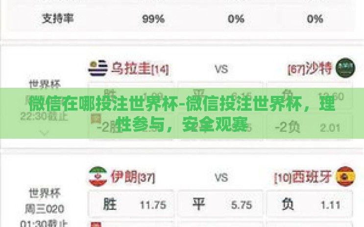 微信在哪投注世界杯-微信投注世界杯，理性参与，安全观赛