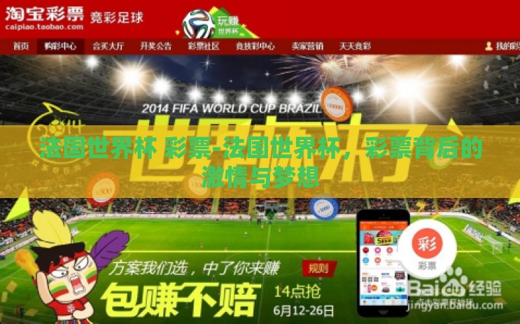 法国世界杯 彩票-法国世界杯，彩票背后的激情与梦想