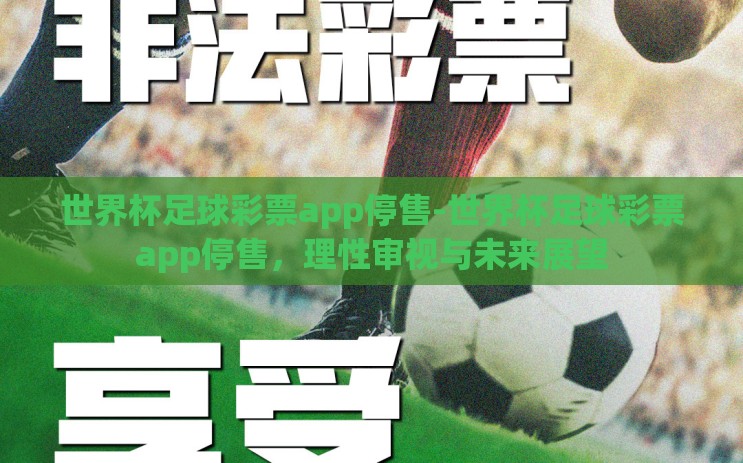 世界杯足球彩票app停售-世界杯足球彩票app停售,理性审视与未来展望 世界杯足球彩票app停售-世界杯足球彩票app停售,理性审视与未来展望