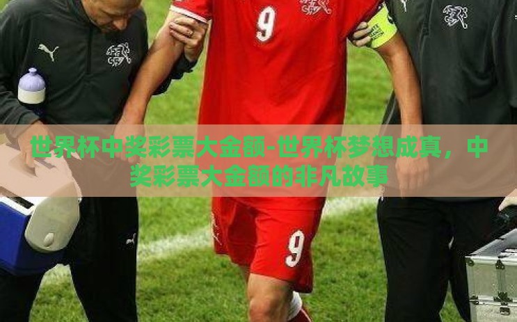 世界杯中奖彩票大金额-世界杯梦想成真，中奖彩票大金额的非凡故事
