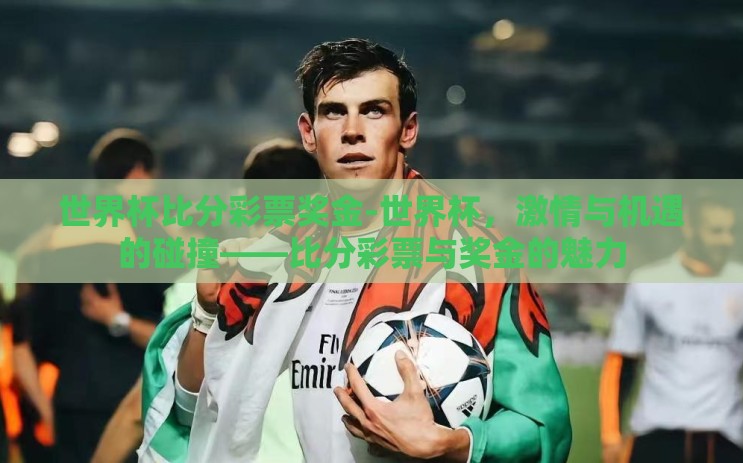 世界杯比分彩票奖金-世界杯，激情与机遇的碰撞——比分彩票与奖金的魅力