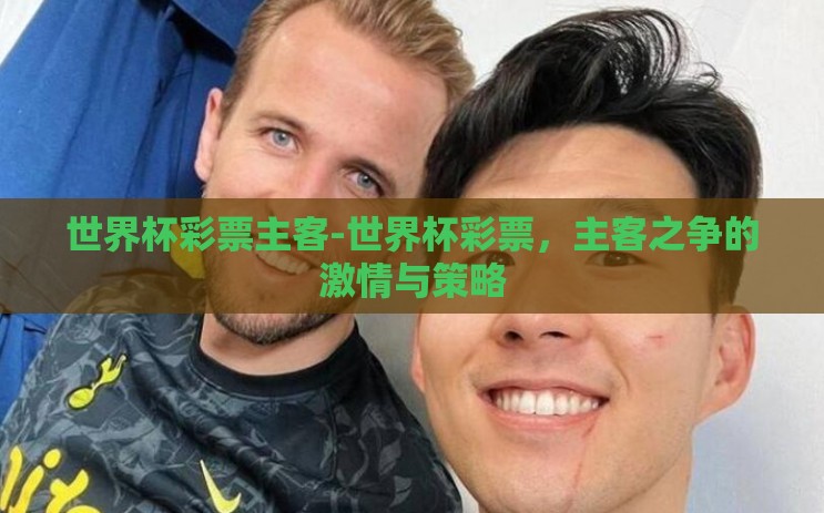世界杯彩票主客-世界杯彩票,主客之争的激情与策略 世界杯彩票主客-世界杯彩票,主客之争的激情与策略