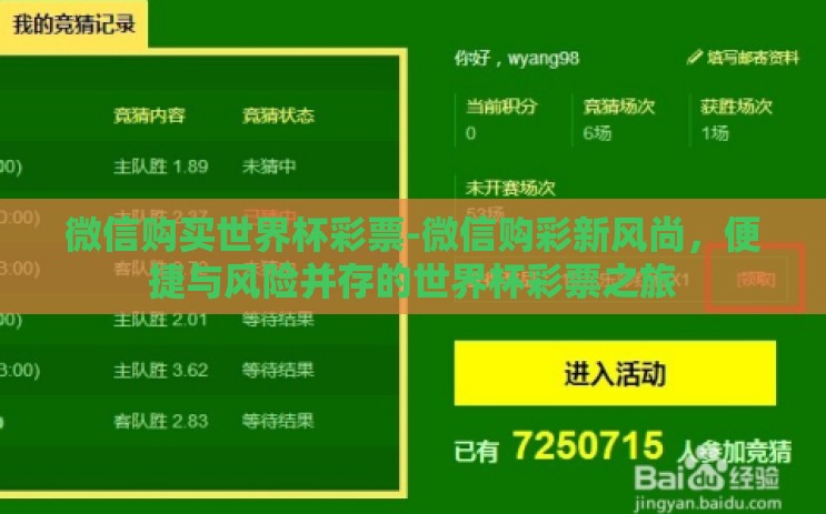 微信购买世界杯彩票-微信购彩新风尚，便捷与风险并存的世界杯彩票之旅